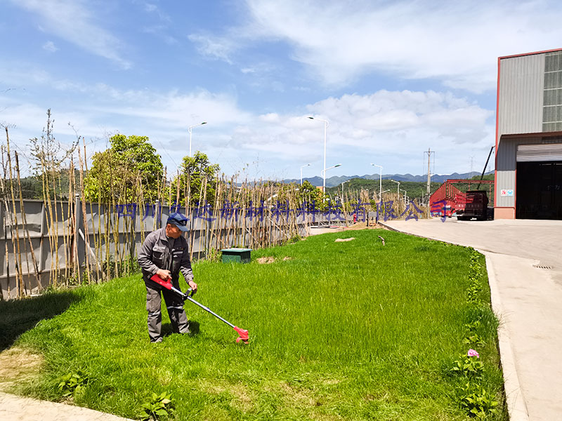 四川久達(dá)新材料園區(qū)綠化進行中